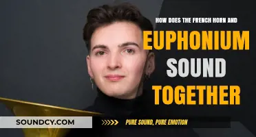 French Horn and Euphonium Harmony: A Rich, Blended Sound Exploration