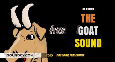 Understanding the Unique Vocalizations: How Does a Goat Sound?
