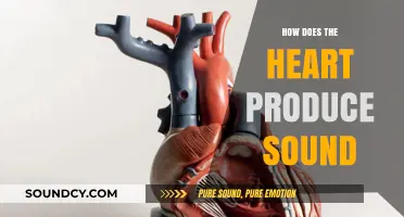 Understanding the Heart's Acoustic Symphony: How Cardiac Sounds Are Produced