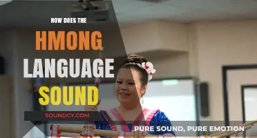 Exploring the Unique Tones and Rhythms of the Hmong Language