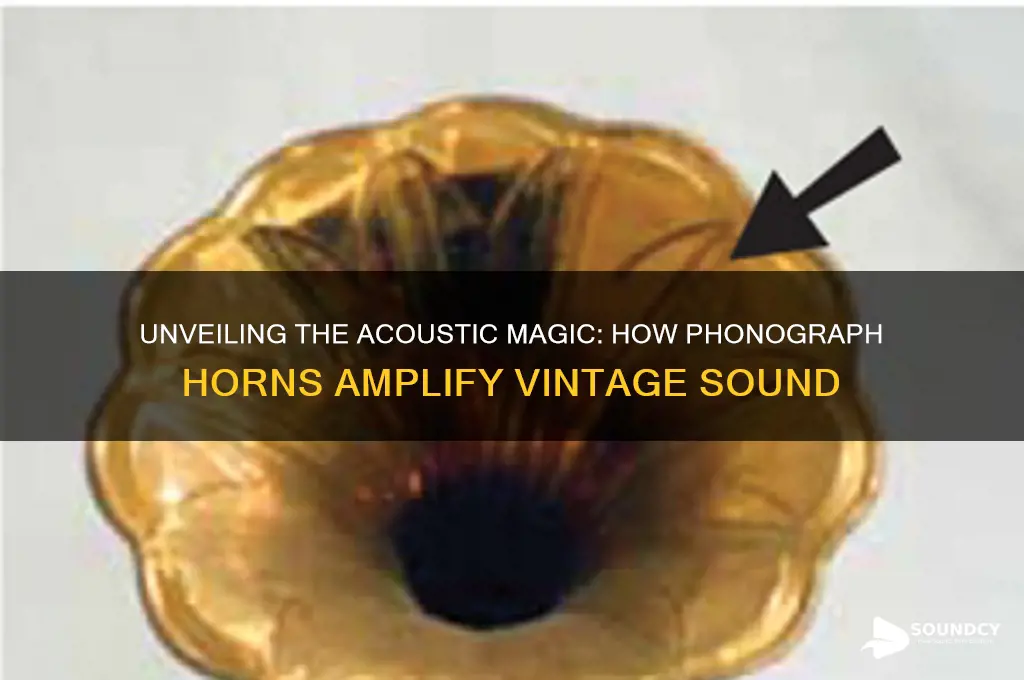 how does the horn of old phonographs amplify sound