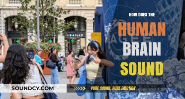 Unveiling the Audible Mysteries of the Human Brain's Sonic Signature