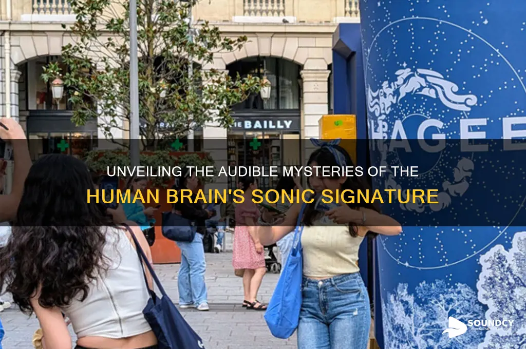 how does the human brain sound
