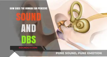 How the Human Ear Processes Sound and Decibels Explained