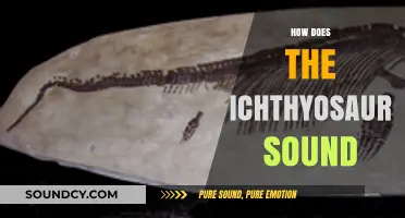 Unraveling the Mystery: What Sounds Did Ichthyosaurs Make?