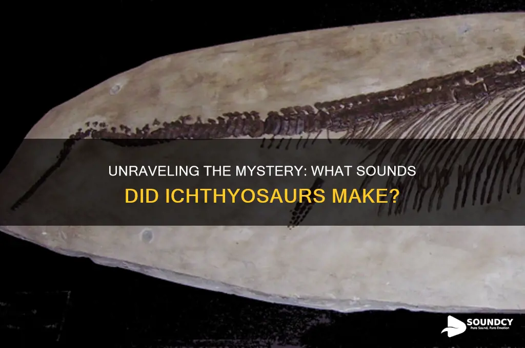 how does the ichthyosaur sound