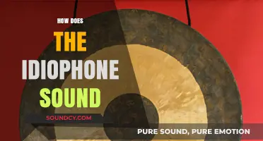 Exploring the Unique Sound of Idiophones: A Musical Journey