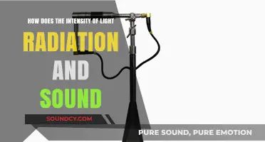 Light and Sound Intensity: Effects on Environment and Human Perception