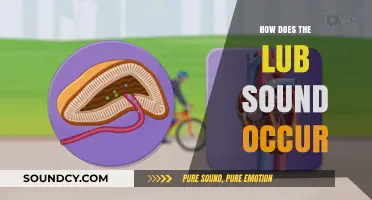 Understanding the Lub Sound: Mechanism, Causes, and Clinical Significance