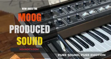 Unveiling the Magic: How Moog Synthesizers Create Iconic Sounds