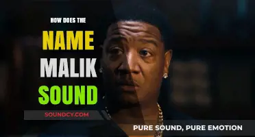 The Alluring Sound of Malik: A Name's Cultural Resonance and Appeal