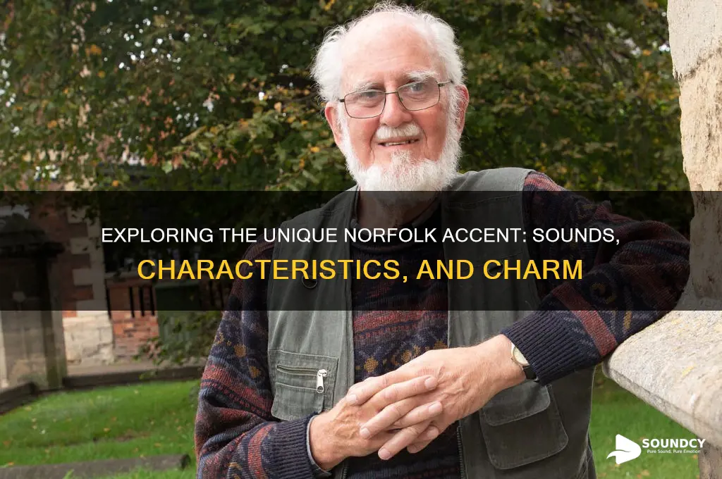 how does the norfolk accent sound