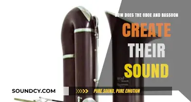 Unveiling the Unique Sound Production of Oboes and Bassoons