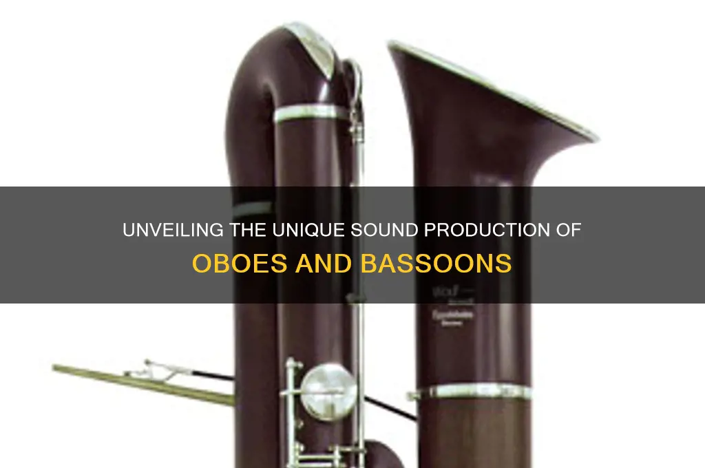 how does the oboe and bassoon create their sound