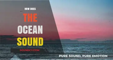 Exploring the Mystical Sounds of the Ocean's Waves and Life