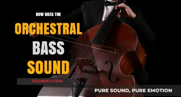 Exploring the Rich, Deep, and Powerful Sound of Orchestral Bass