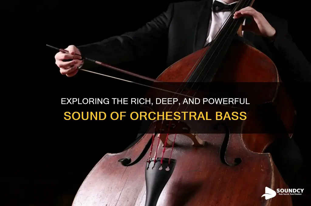 how does the orchestral bass sound