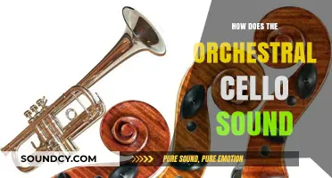 Exploring the Rich, Warm, and Versatile Sound of the Orchestral Cello