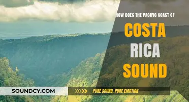 Costa Rica's Pacific Coast: A Symphony of Waves, Wildlife, and Serenity
