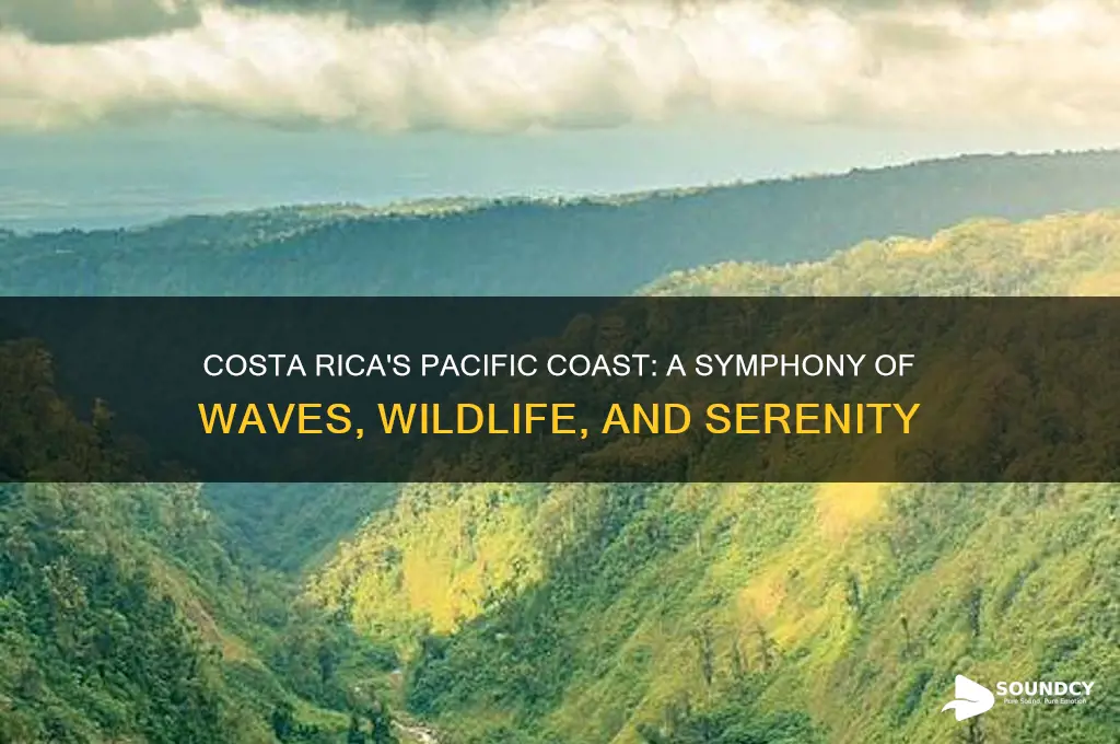 how does the pacific coast of costa rica sound