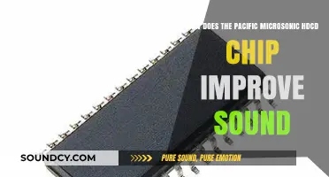 Enhancing Audio Clarity: Pacific Microsonic HDCD Chip's Impact on Sound Quality