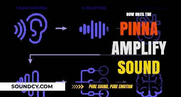 How the Pinna Amplifies Sound: Unlocking the Ear's Natural Design