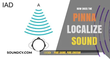 How the Pinna's Unique Shape Helps Us Localize Sound Sources