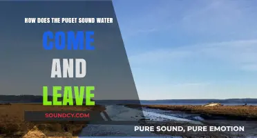 Puget Sound's Water Flow: Sources, Circulation, and Exit Routes Explained