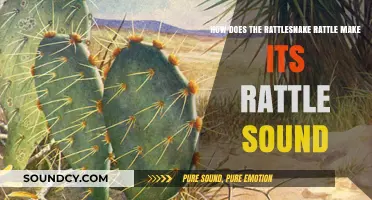 Unveiling the Rattlesnake's Rattle: The Science Behind Its Iconic Sound