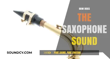Exploring the Rich, Versatile, and Soulful Sound of the Saxophone