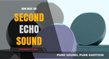 Exploring the Unique Qualities of the Second Echo's Sound