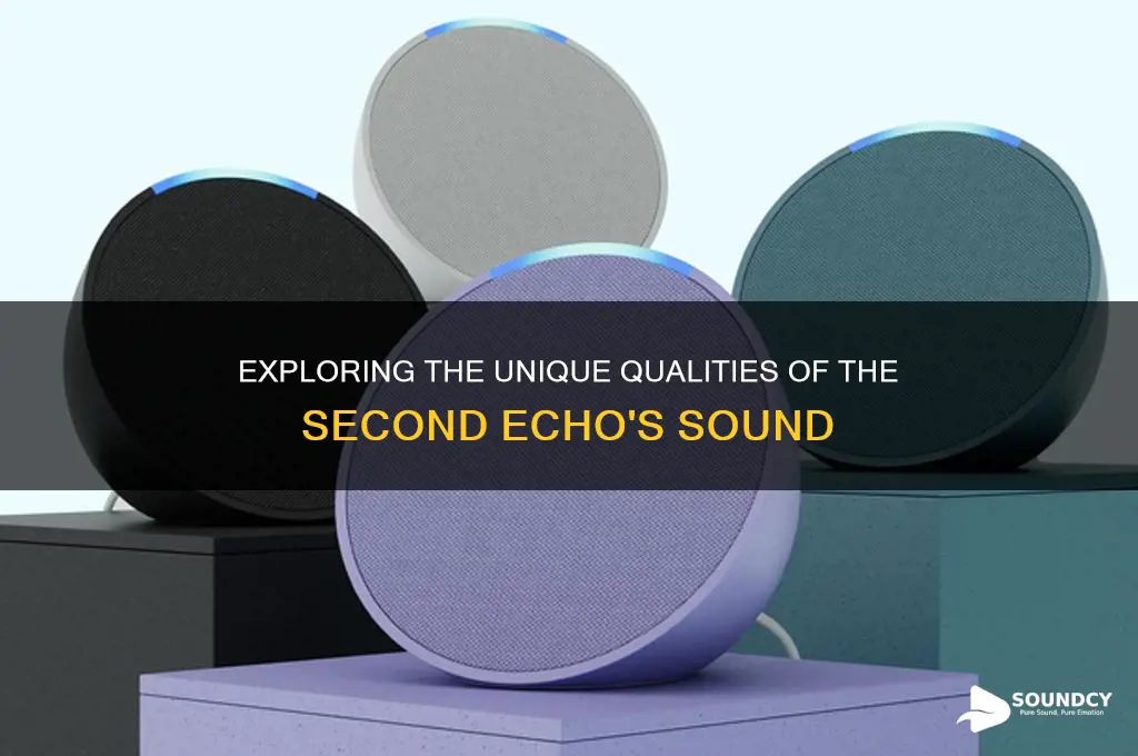 how does the second echo sound
