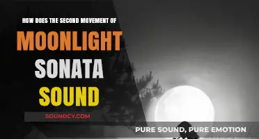 Moonlight Sonata's Second Movement: A Serene, Hypnotic Musical Journey