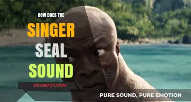 Exploring the Unique Vocal Style and Sound of Singer Seal