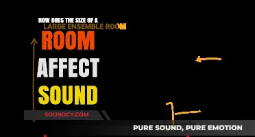 Room Size and Sound: How Space Shapes Acoustic Experience