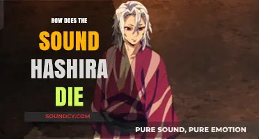 The Tragic Demise of Sound Hashira: Unraveling Tengen Uzui's Fate