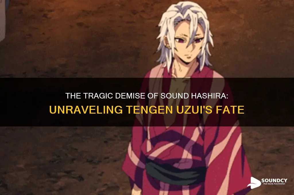 how does the sound hashira die