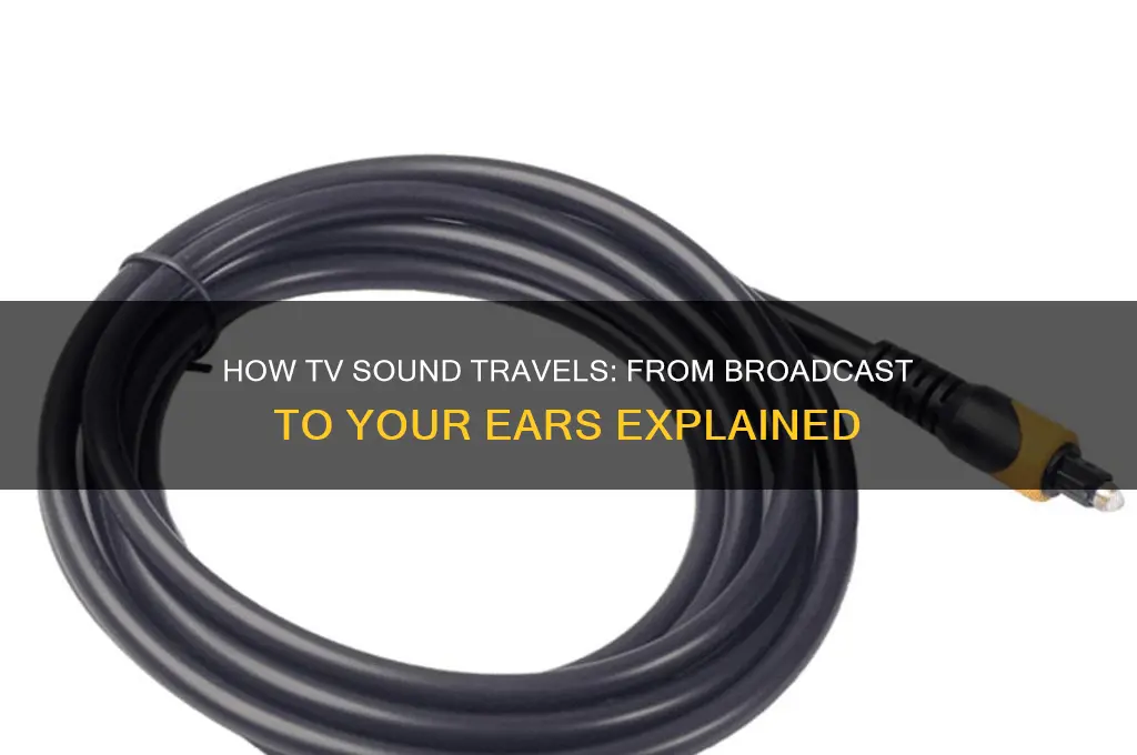 how does the sound of a tv transmitted to