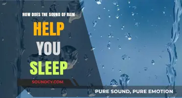 Rain's Soothing Symphony: How Nature's White Noise Enhances Sleep Quality