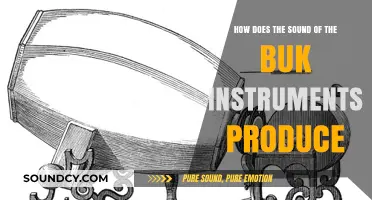 Exploring the Unique Sound Production of Traditional Buk Instruments