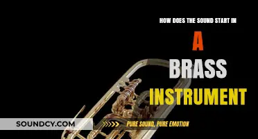 Unveiling the Buzz: How Sound Begins in Brass Instruments