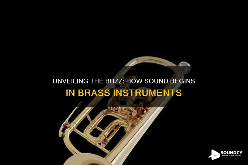 how does the sound start in a brass instrument