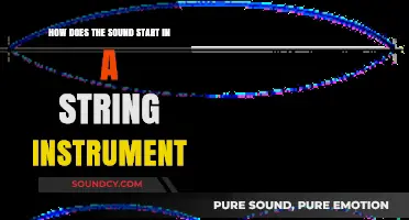 Unveiling the Vibrant Journey: How Sound Begins in String Instruments