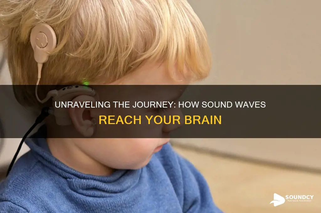 how does the sound travel through the ear sensation