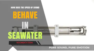 Sound Speed in Seawater: Factors Influencing Its Behavior and Variations
