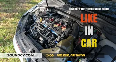 The Distinctive Roar of a Turbo Engine in Cars