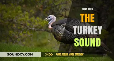 Unraveling the Unique Gobble: How Does a Turkey Sound?