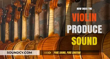 The Science of Violin Sound Production