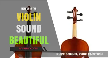 The Art of Violin: Unlocking the Secrets of Its Beautiful Sound