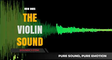 Exploring the Rich, Expressive, and Unique Sound of the Violin